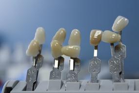 Tooth Dentist model