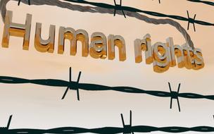 barbed wire human rights equality