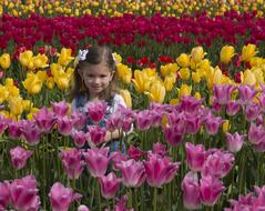 Girl and Flowers Tulips