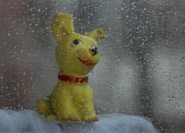 Toy Dog behind wet glass