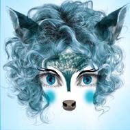 fox animals wild drawing