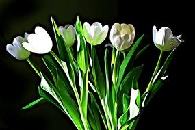 digital graphics bouquet white