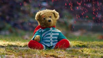 Teddy Toys Bear
