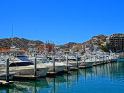 Marina Los Cabos Cabo San
