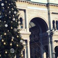 Christmas Gallery Piazza