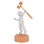 professions auction hammer bids