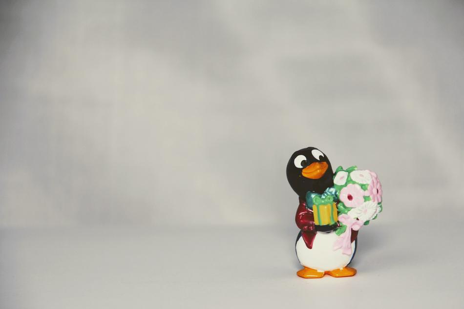 a cute penguin with a bouquet of flowers