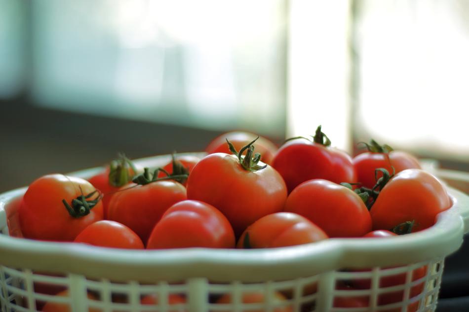 Fresh ripe tomatoes in a basket