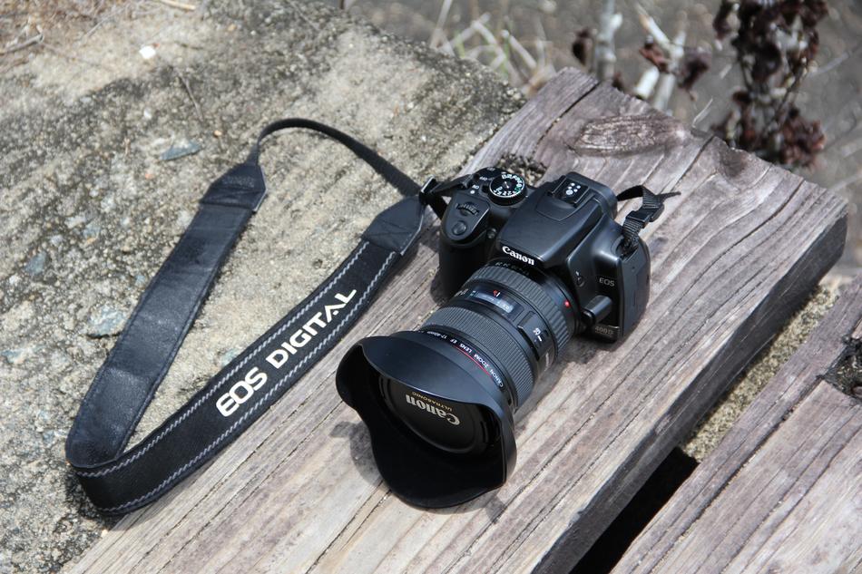 Camera Canon Photography