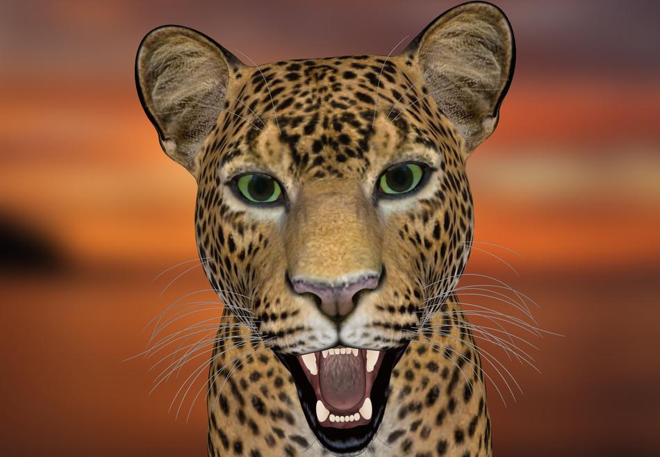 Leopard-Head 3d drawing