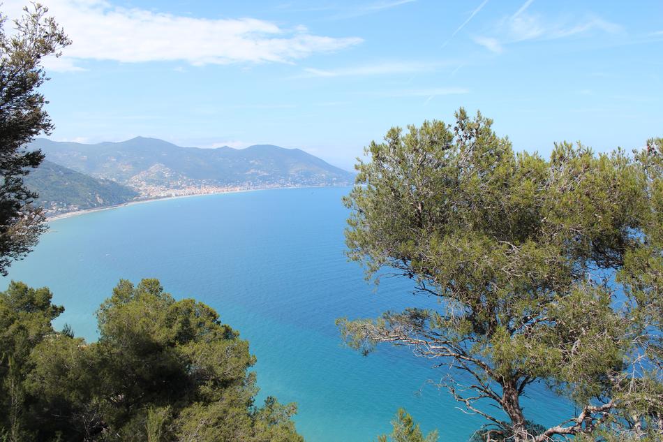 blue sea by the mountains with trees