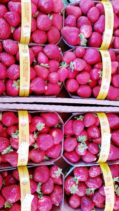 Strawberries in a basket