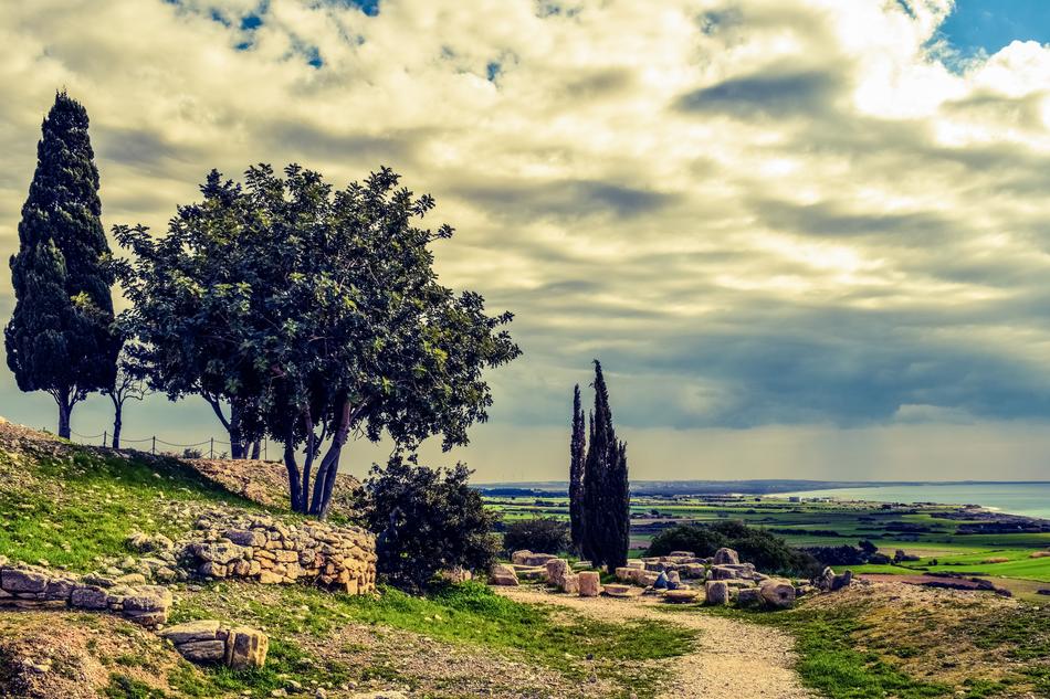 an unusual garden with a background of clouds