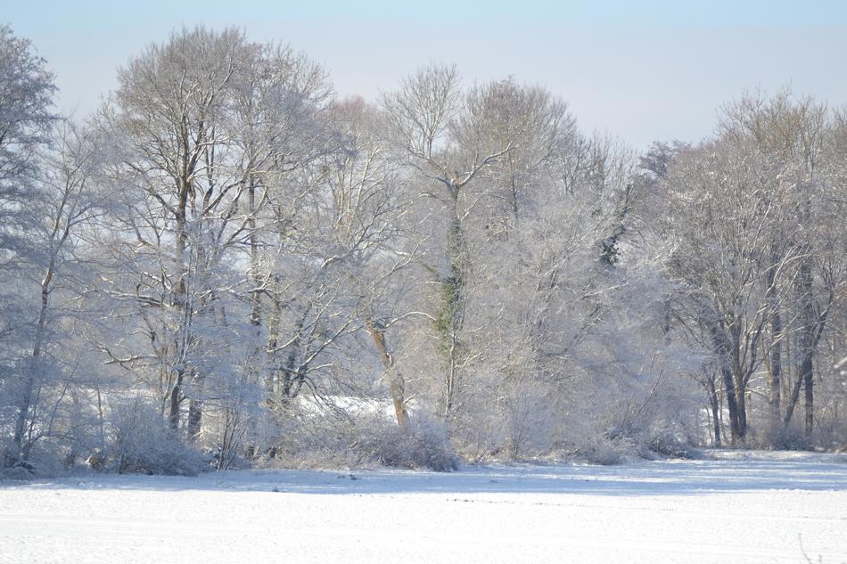 Winter Snow Vörstetten