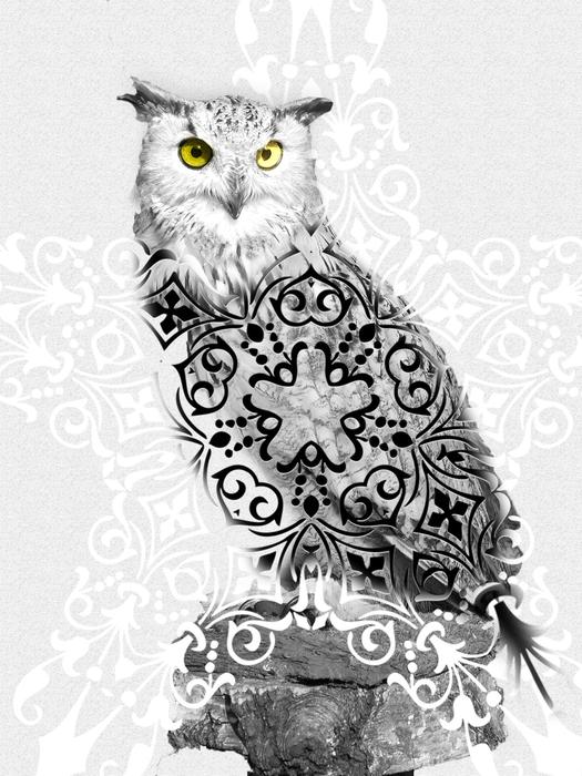 image of an owl with a ritual pattern