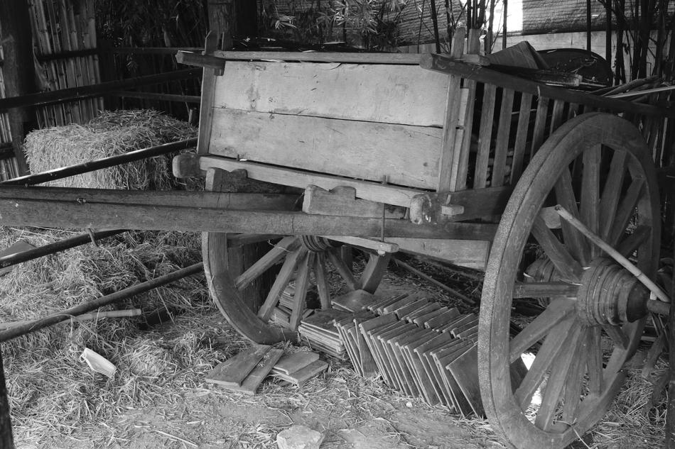 Cart Oxcart Horse Drawn Carriage
