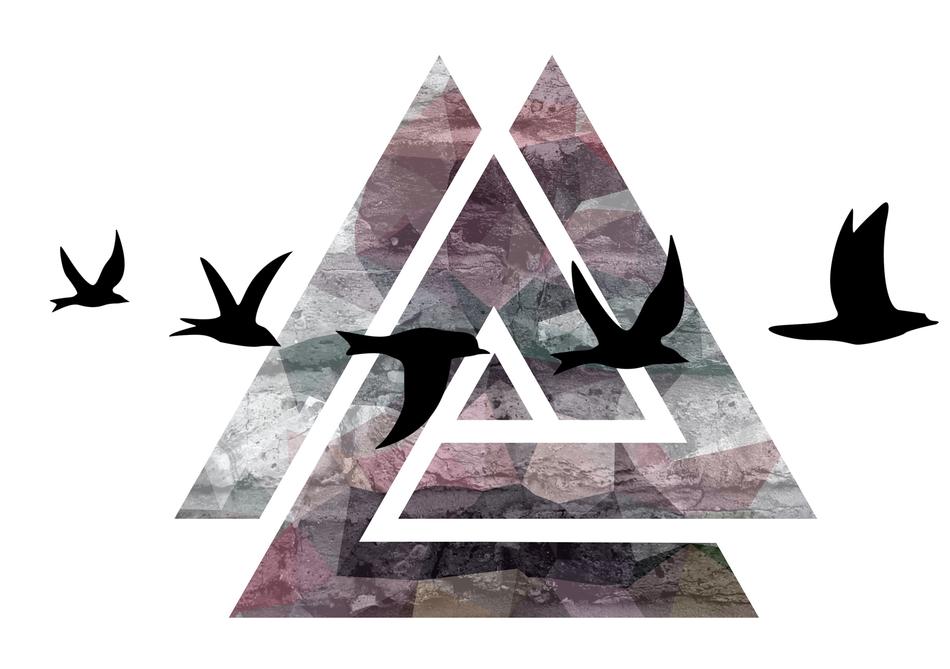 drawing of birds triangle design