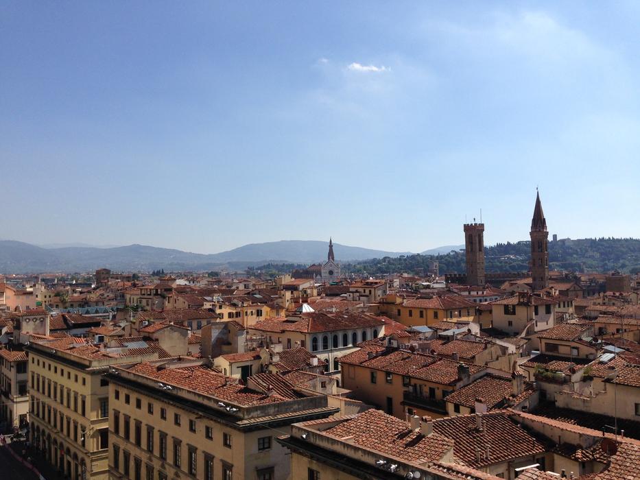 Beautiful and colorful cityscape with the roofs of the houses and hills, in Florence, Italy