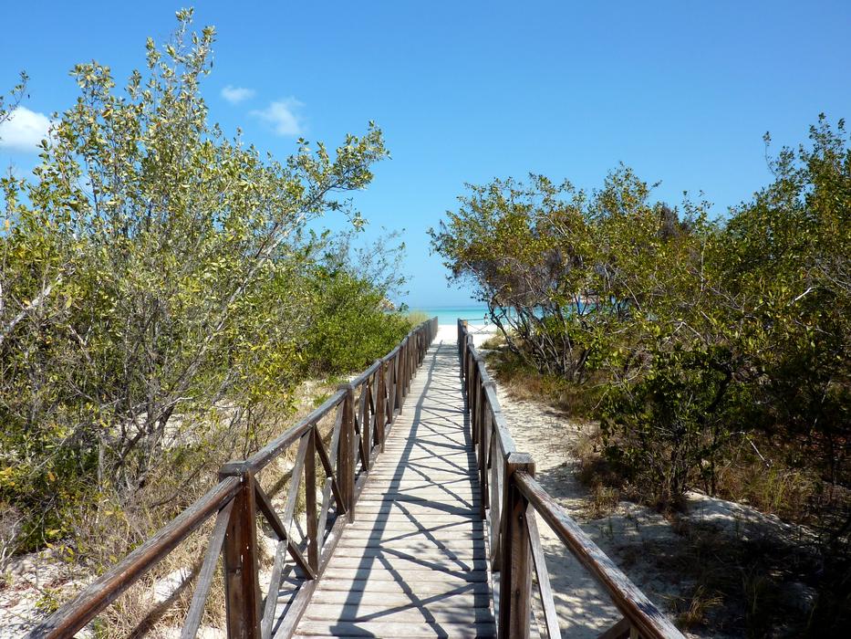 bridge leading to the sea