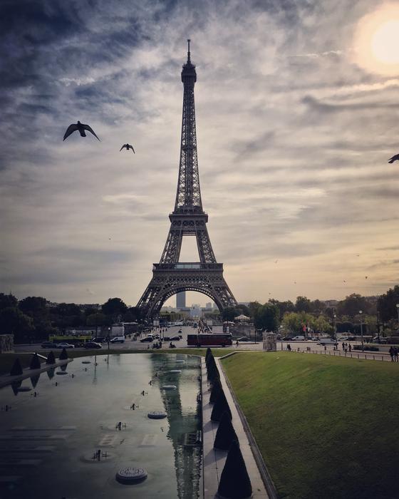 Eiffel Tower Paris