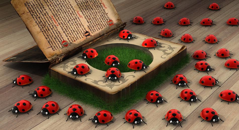 ladybugs a lot on the book