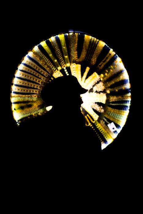 absolutely beautiful Silhouette Gold Man