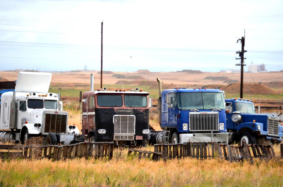 Vintage Truck Junkyard