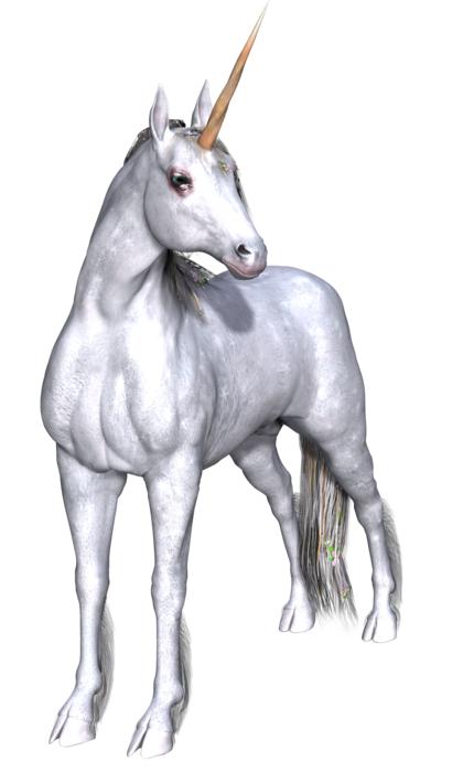 unicorn fantasy fairy tale white