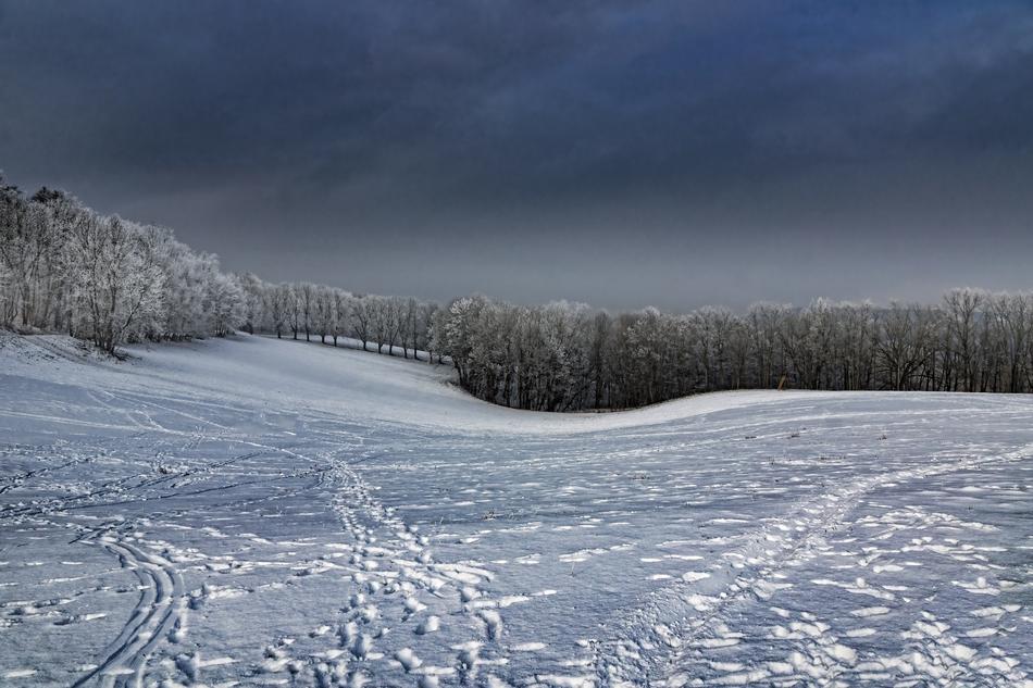 footprints in the snow in the field