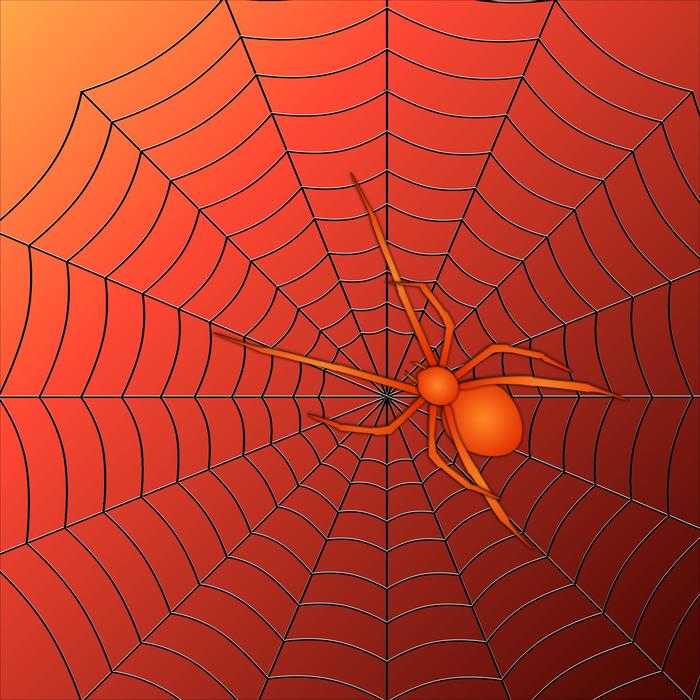 arachnid red spider on web illustration