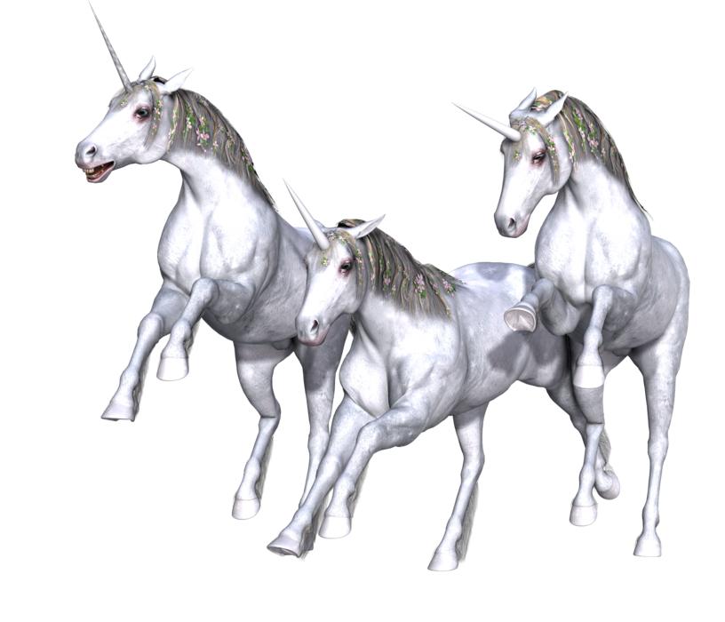 Drawing unicorns in pencil