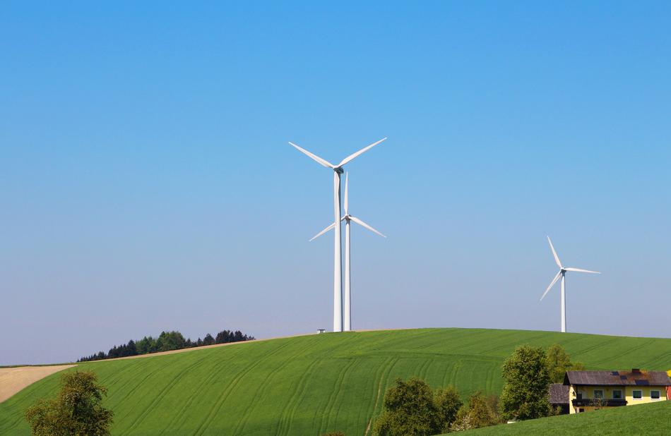 windmills in a green meadow