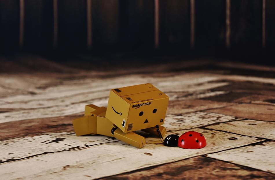 Danbo Lucky Ladybug Good Luck