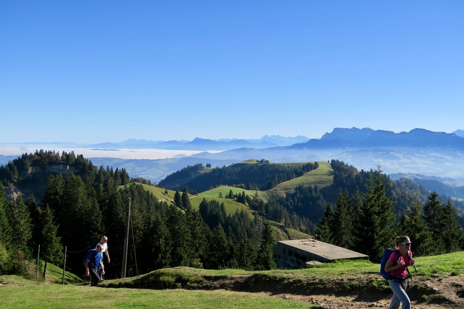 View Switzerland Bowl