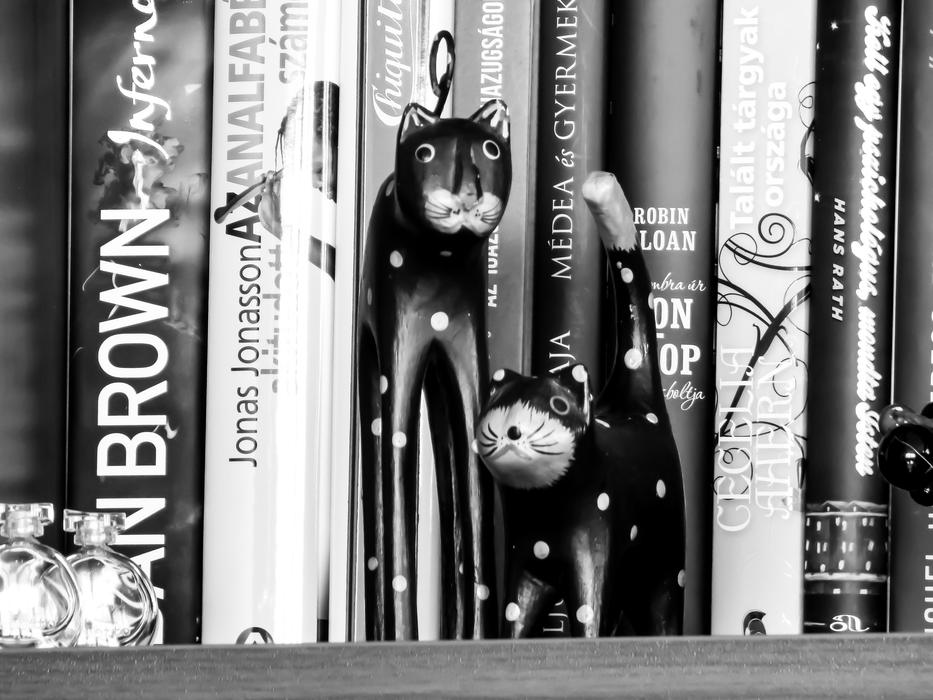 Bookshelf Books Reading