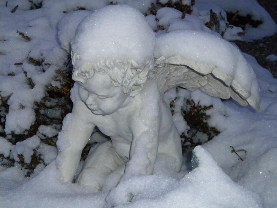 the beautiful figure of an angel in the snow.