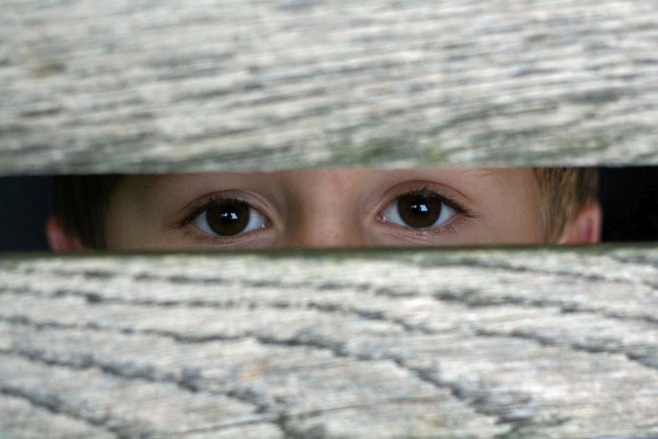 Eyes By Looking See