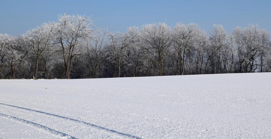 Wintry Iced Winter Mood Icy
