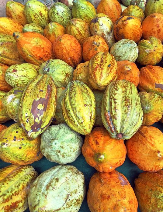 Cocoa Ghana