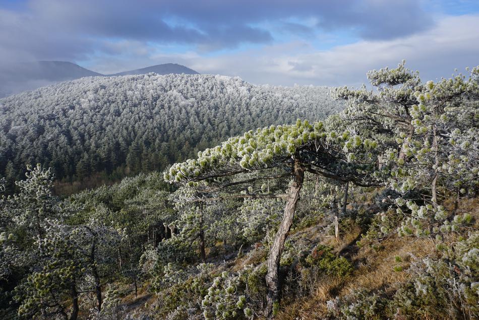 Wintry Winter Atmosphere