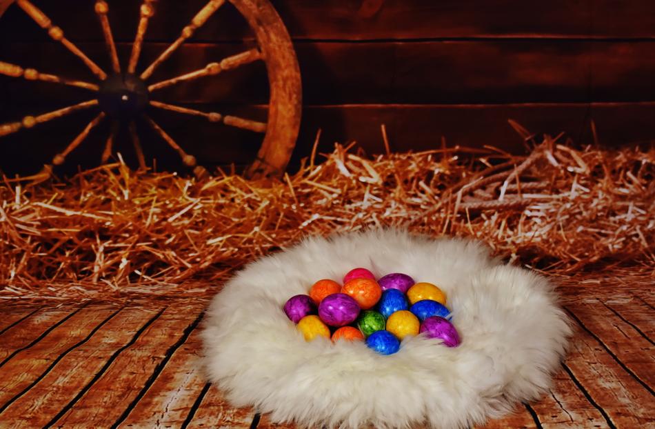 Easter Colorful Eggs Happy