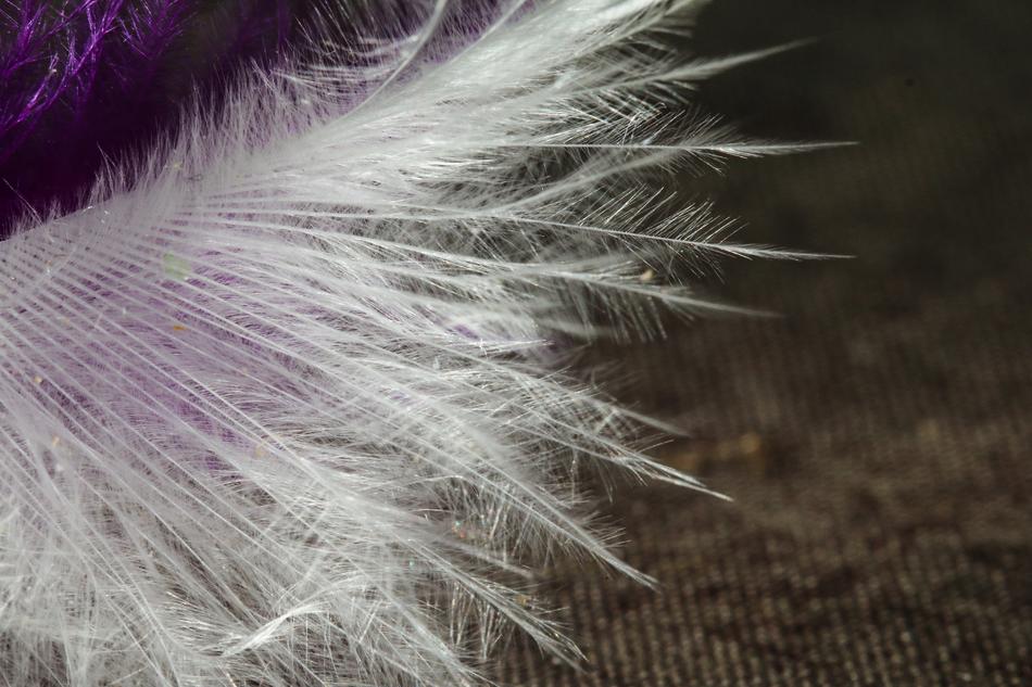Macro Pen