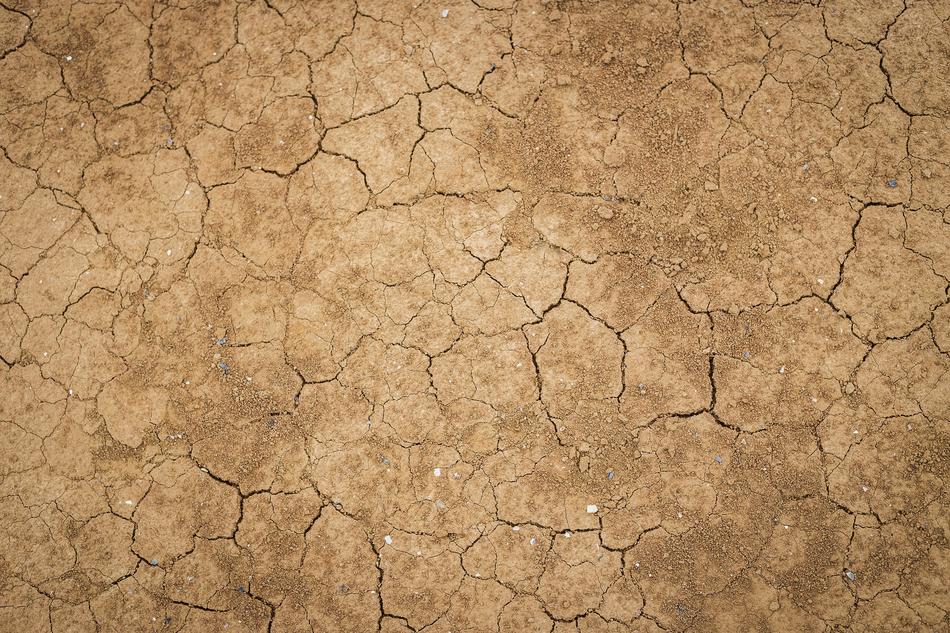 Crack Dry Land