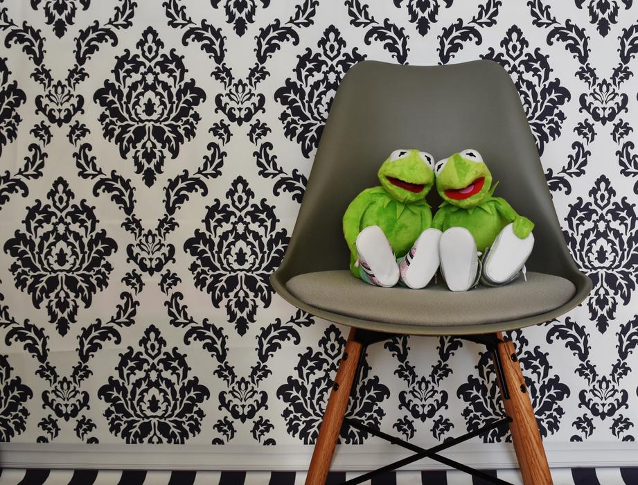 kermit green background black