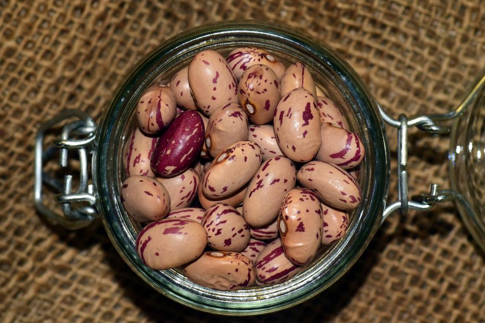 healthy beans on a plate