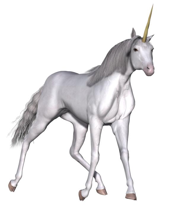 Fantasy white unicorn 3d design