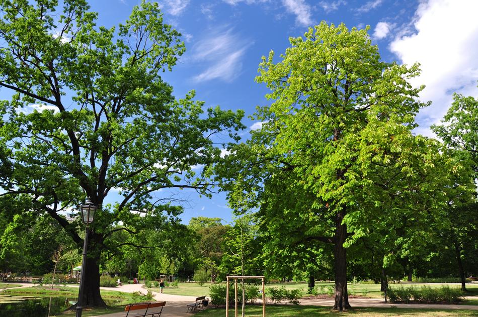 Poland Warsaw Garden Krasinski