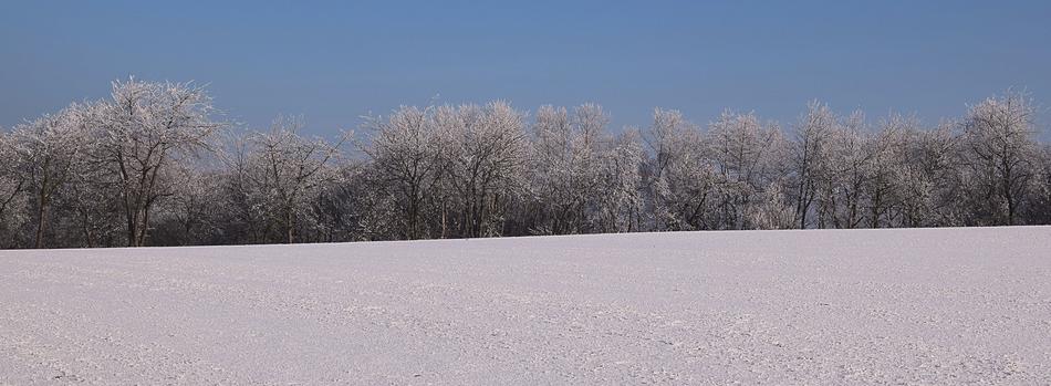 Iced Winter Mood view
