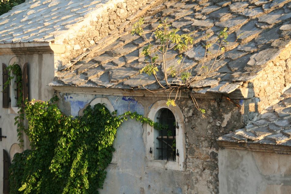 Old Town Ivy Stone