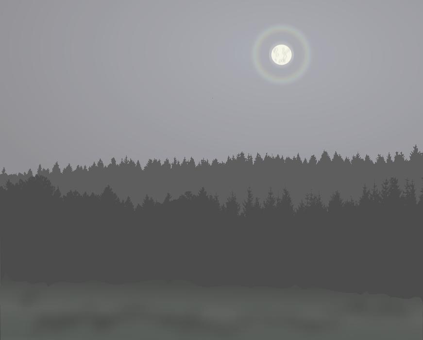 dark picture with forest and ooze